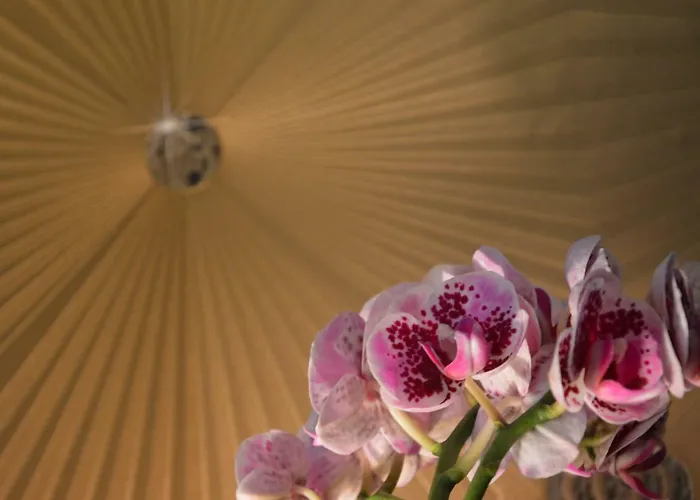 Апартаменти My-lord Luxapartman Еґер